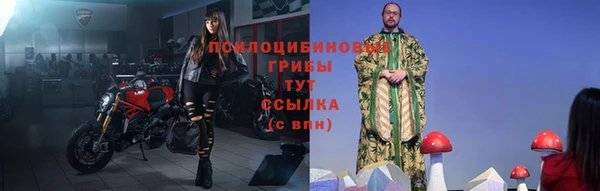 apvp Верхний Тагил